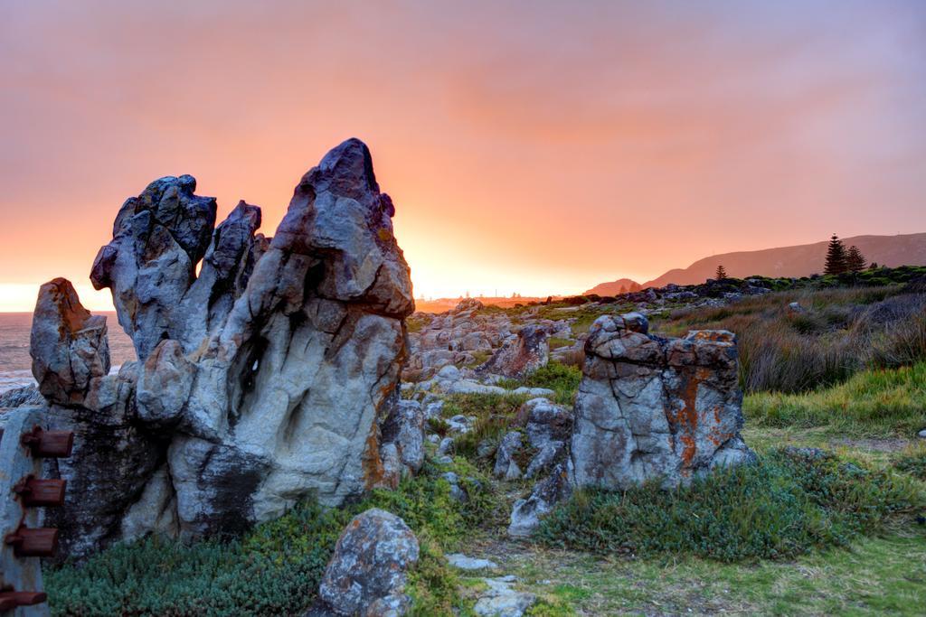 Abalone Guest Lodge Hermanus Exterior photo